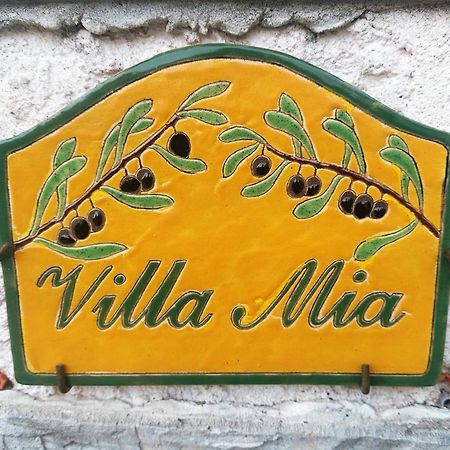 Villa Mia Ванс Экстерьер фото